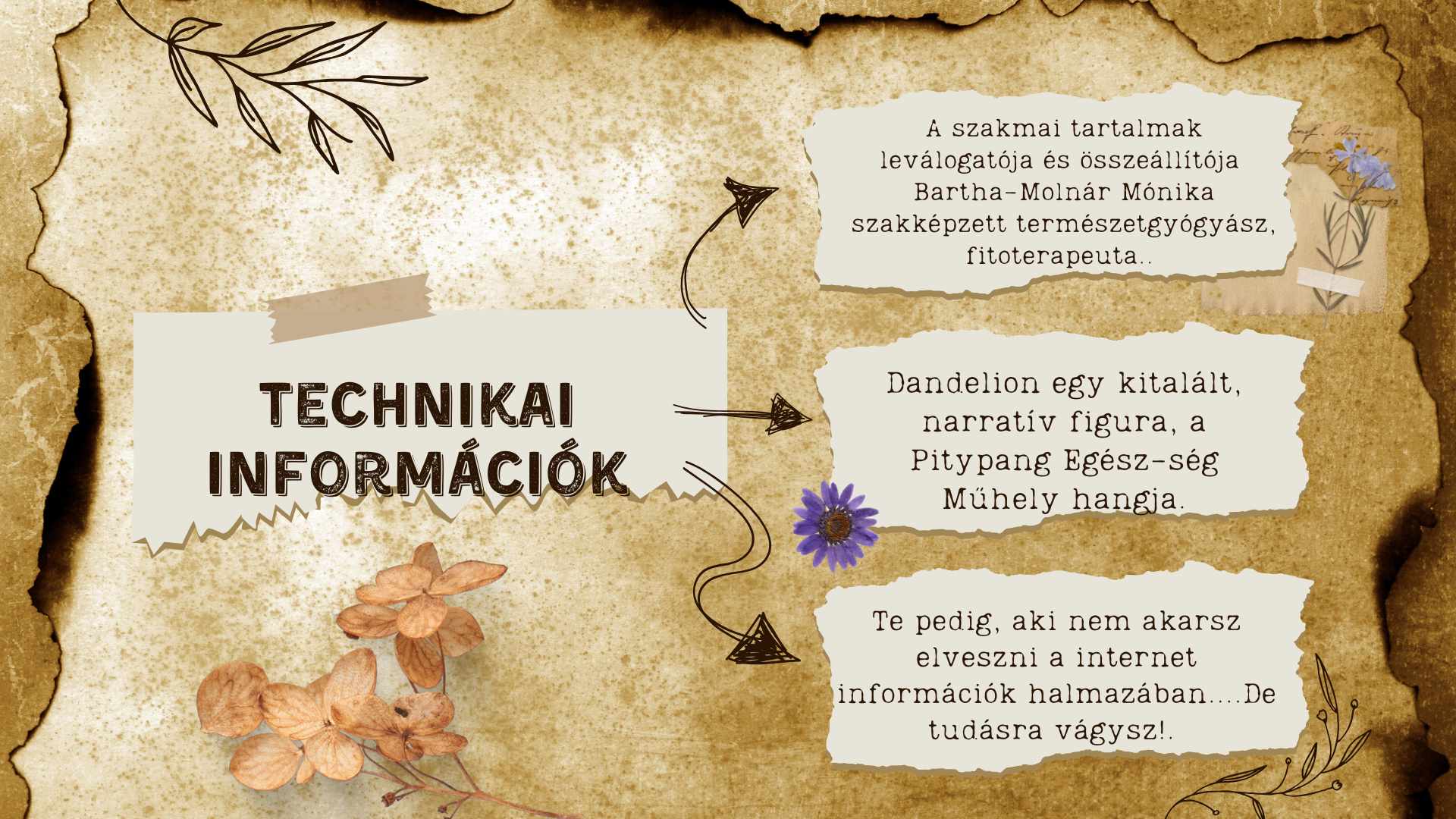 Technikai információk